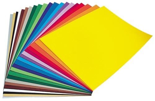 HOJAS DE COLORES SURTIDAS 250/1